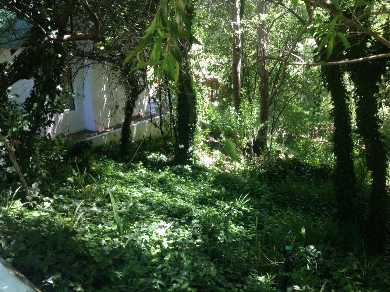 Little Willow Brooke Franschhoek Exterior photo