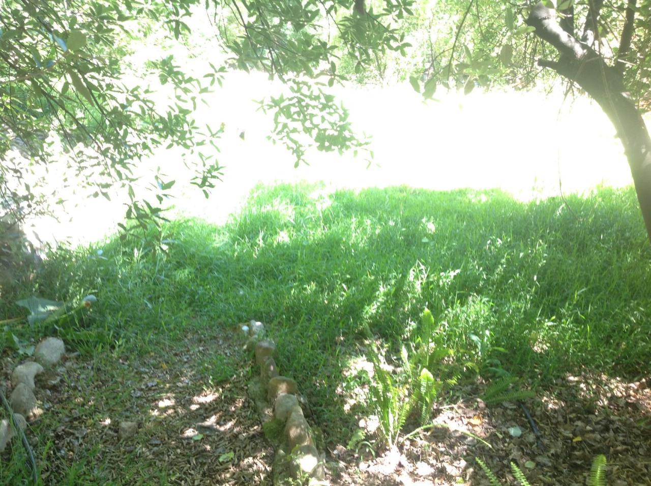 Little Willow Brooke Franschhoek Exterior photo